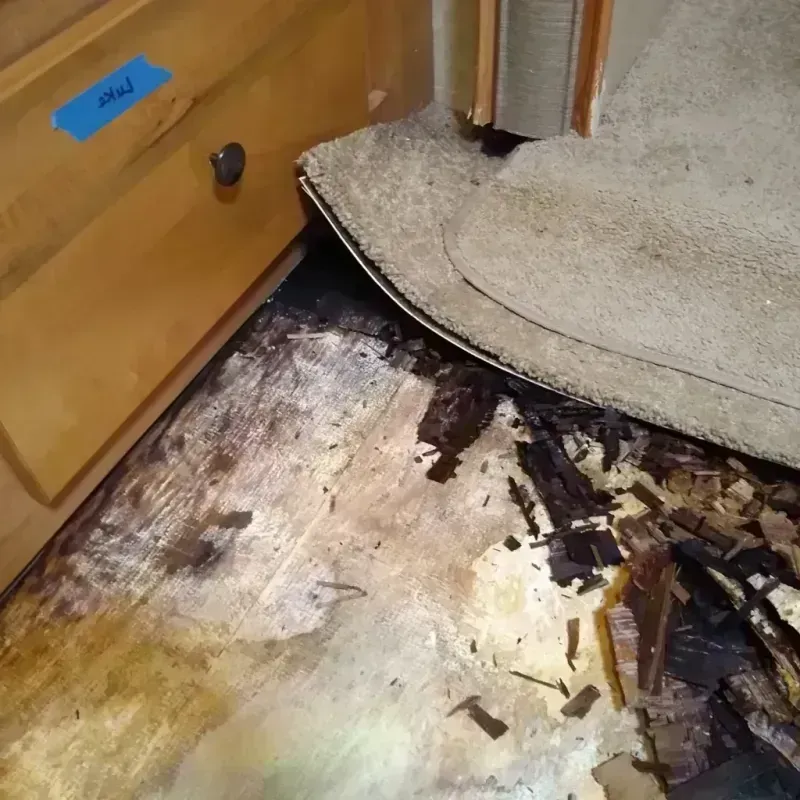 Wood Floor Water Damage in Catalina Foothills, AZ